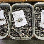 Distributed Products